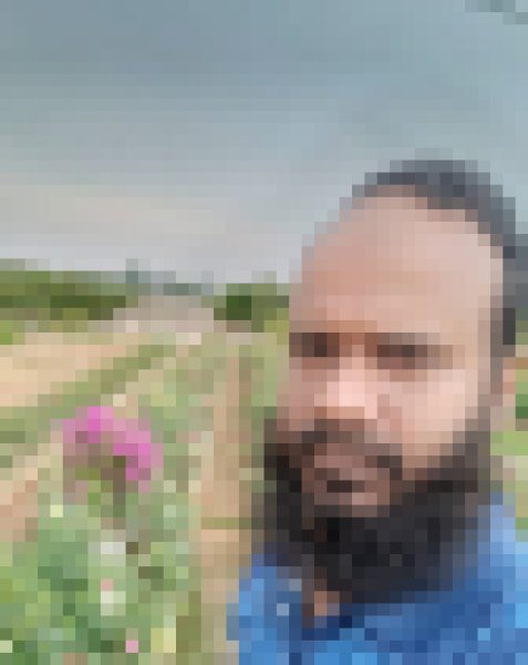 RASEL, 35, Germany
