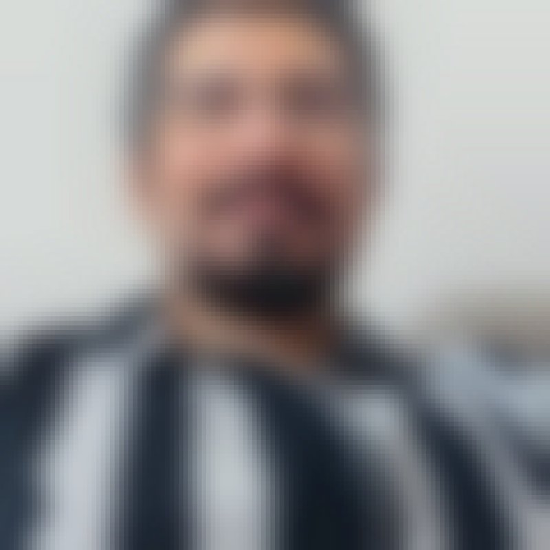 Zagrosbi, 35, Flevoland
