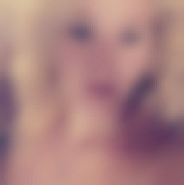 Holz, 47, Schaumburg