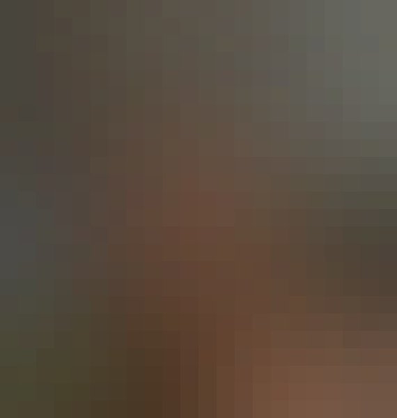Bella, 36, India