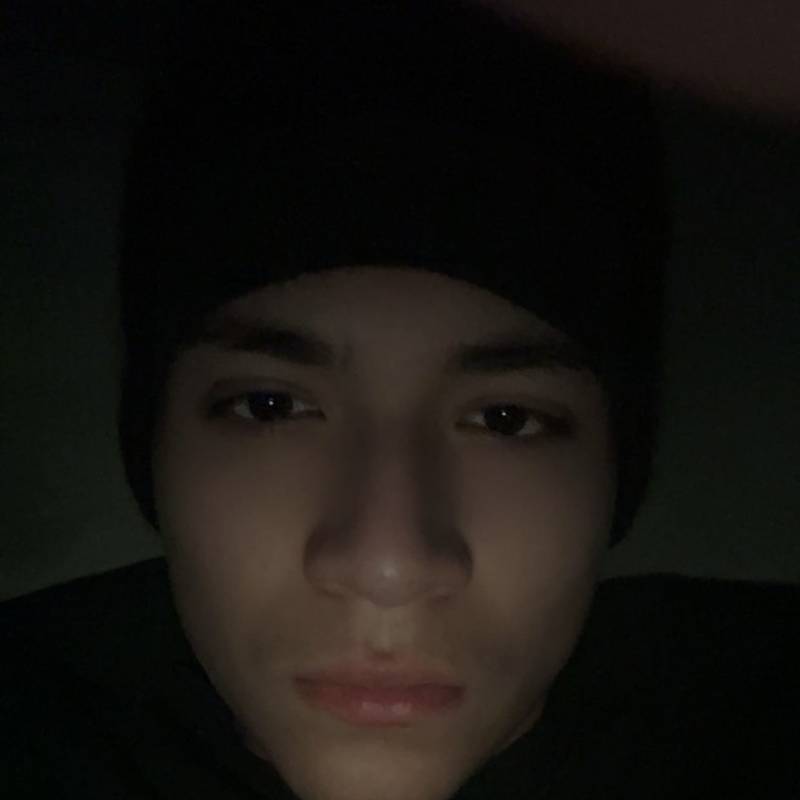 Cruz, 19, Hexham