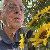 Peter, 67, Emiratos 
