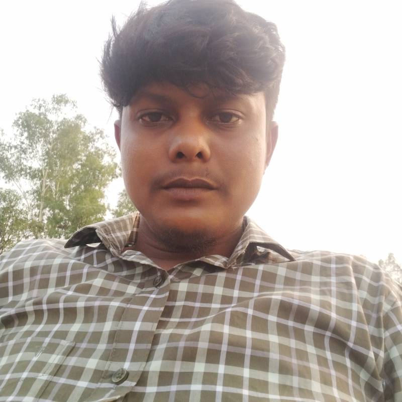 Md mehedi, 30, Tocantins