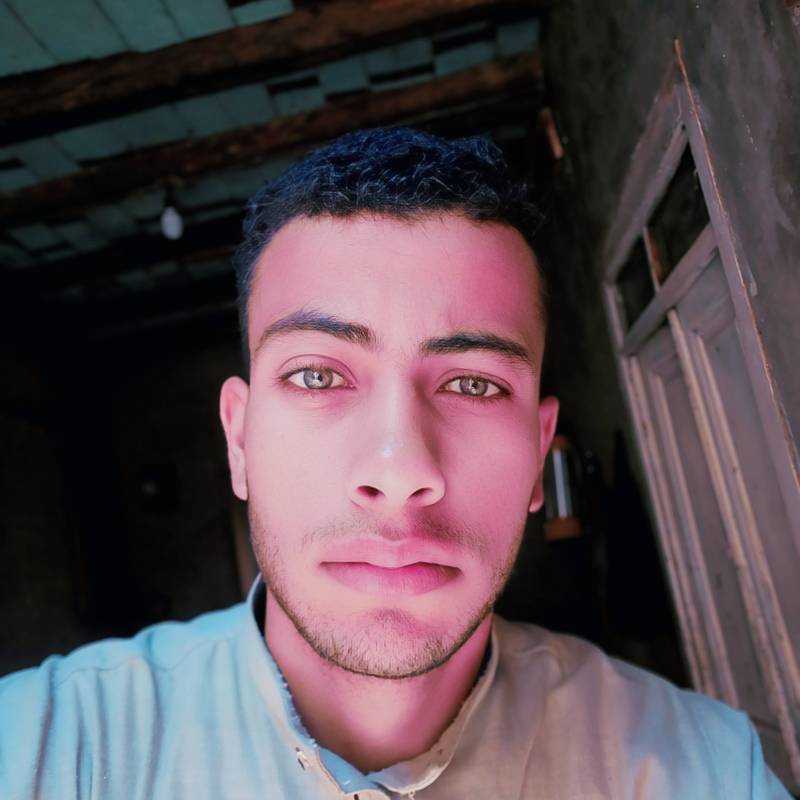 https://gofreedate.com dating am2dy in Egypt