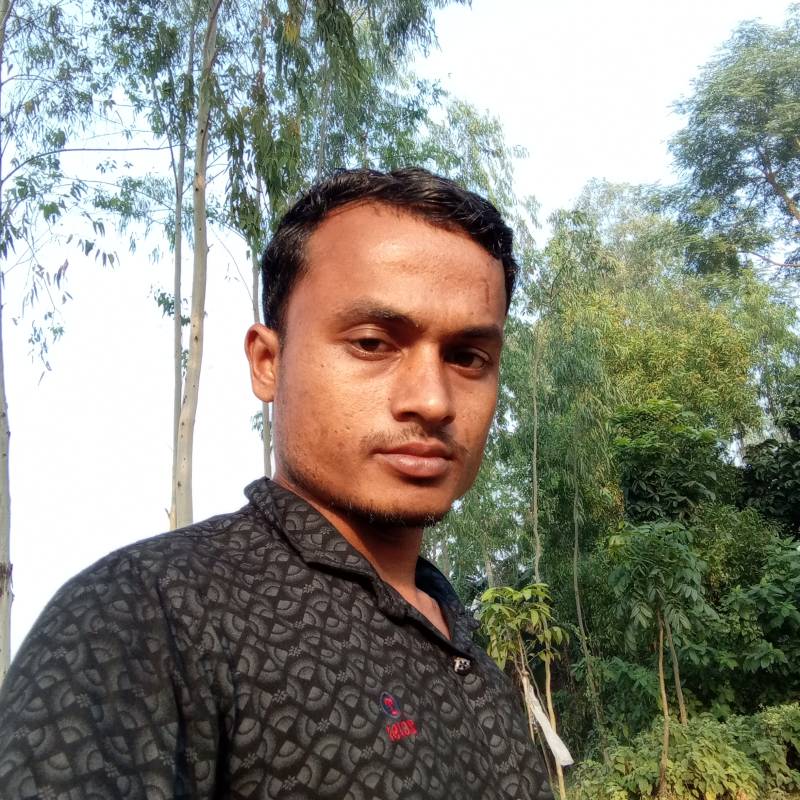Momin52239 dating